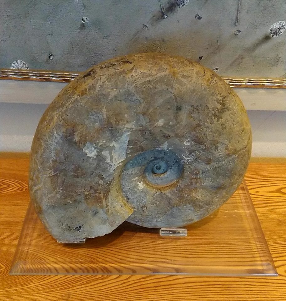 屋内, テーブル, 座る, ドーナツ が含まれている画像

自動的に生成された説明